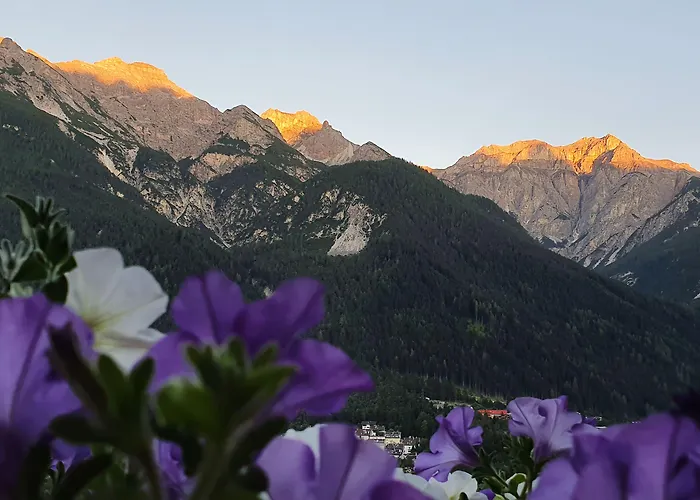 Groebenhof 2* فلبمس