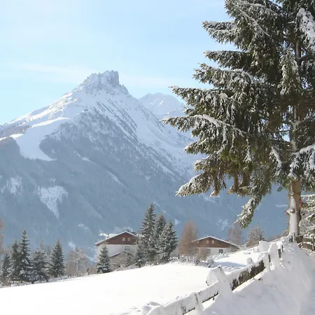 Groebenhof פולפמס