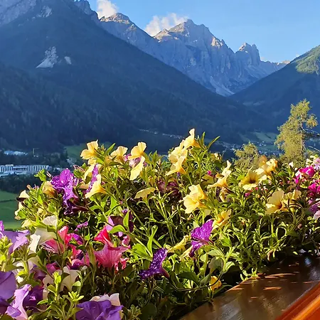 Groebenhof פולפמס